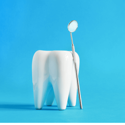 What to Look for When Searching for the Right Dentist for You